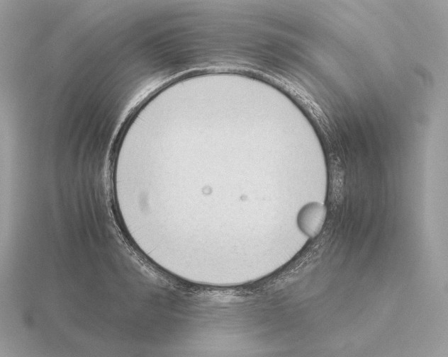 X0000115300990200912141113