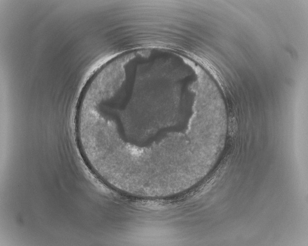 X0000115300995200912141113