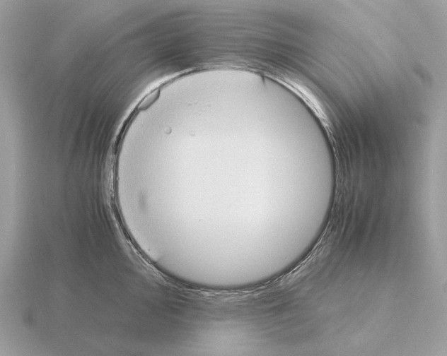 X0000115301000200912141113