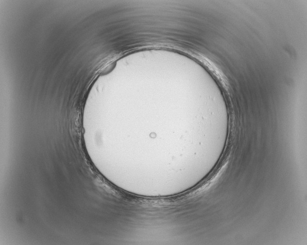 X0000115301001200912141113