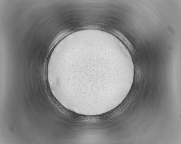 X0000115301002200912141113