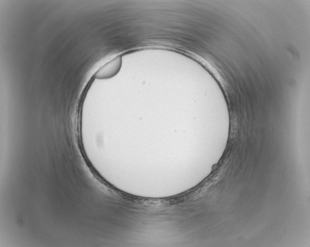 X0000115301003200912141113