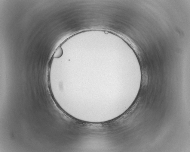 X0000115301006200912141113