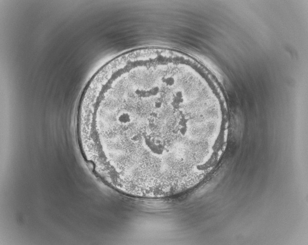 X0000115301007200912141113