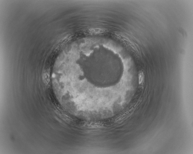 X0000115301011200912141112