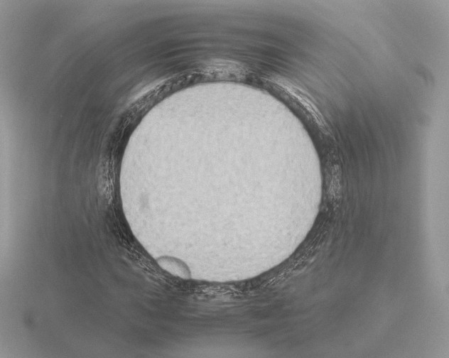 X0000115301015200912141112