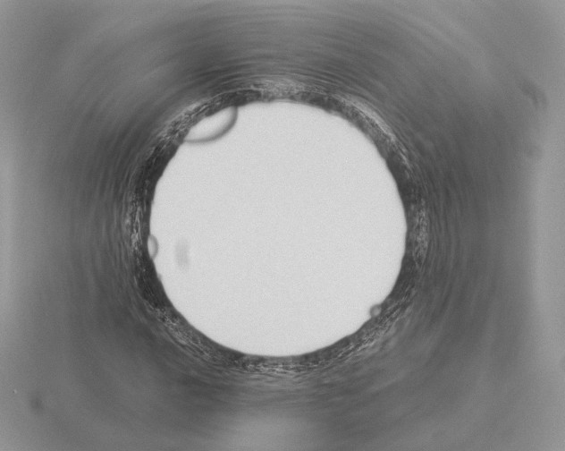 X0000115301016200912141112