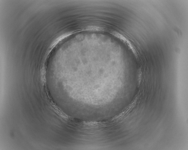 X0000115301019200912141112