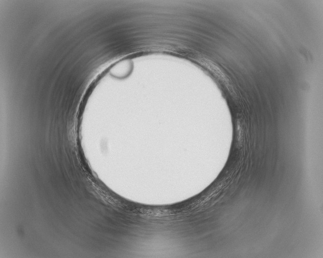 X0000115301020200912141112