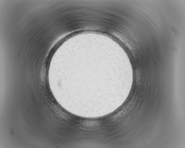 X0000115301021200912141112