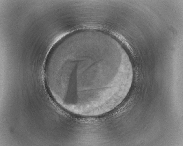 X0000115301024200912141112