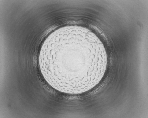 X0000115301025200912141112