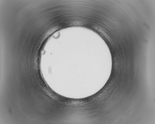 X0000115301026200912141112