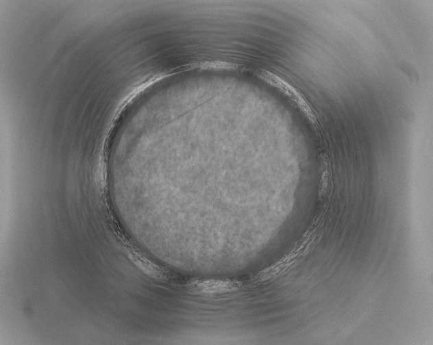 X0000115301027200912141112