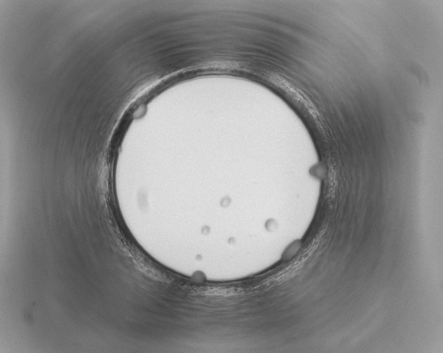 X0000115301029200912141112