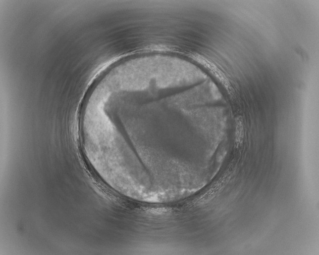 X0000115301031200912141112