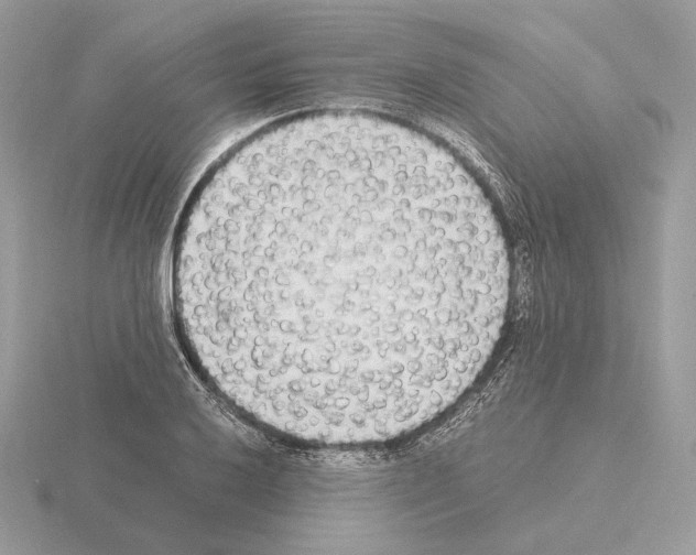 X0000115301032200912141112