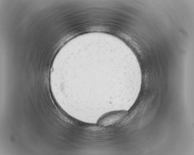 X0000115301033200912141112