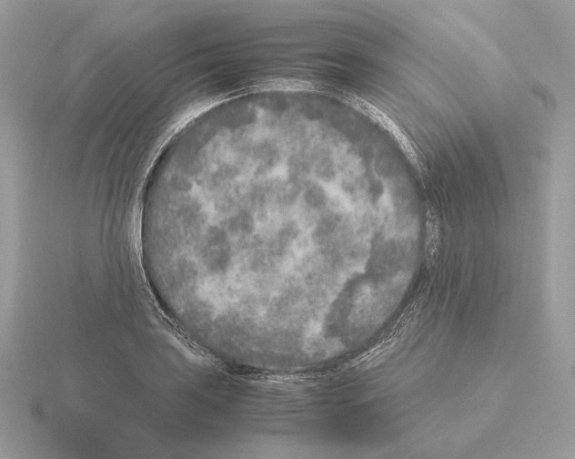 X0000115301035200912141112