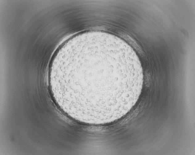 X0000115301036200912141112