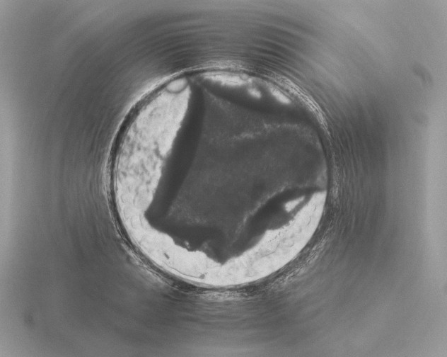 X0000115301037200912141112