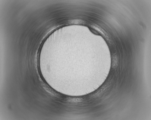 X0000115301039200912141112