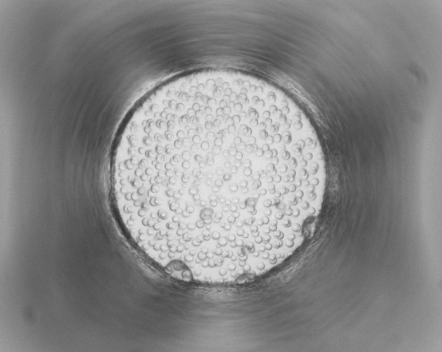 X0000115301040200912141112