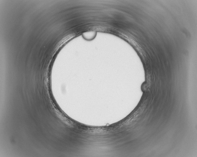 X0000115301042200912141112