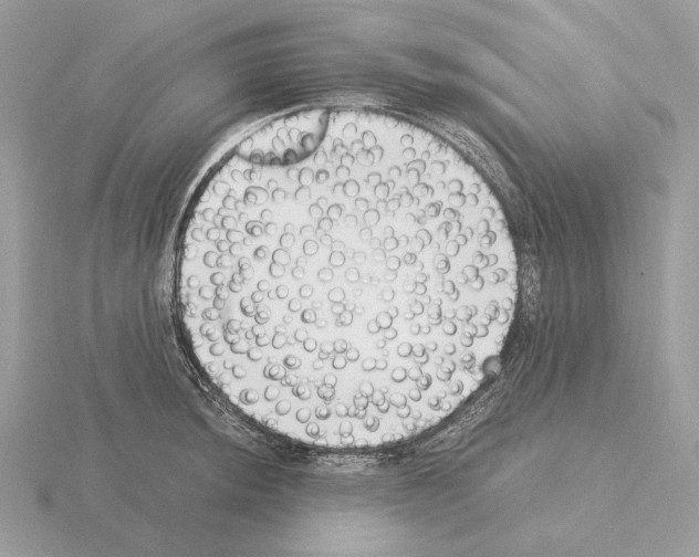 X0000115301044200912141112