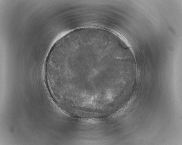 X0000115301045200912141112