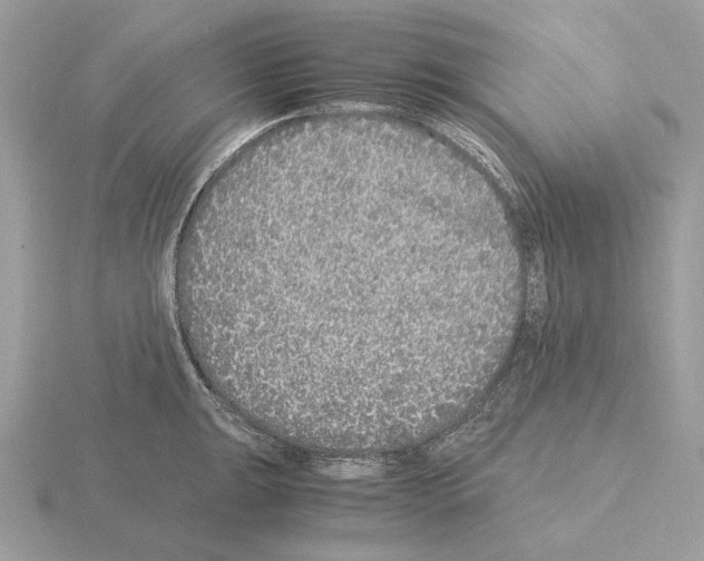 X0000115301047200912141112