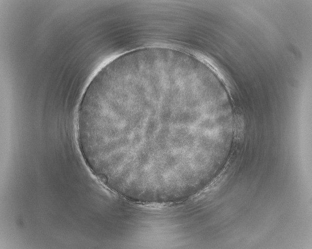 X0000115301048200912141113