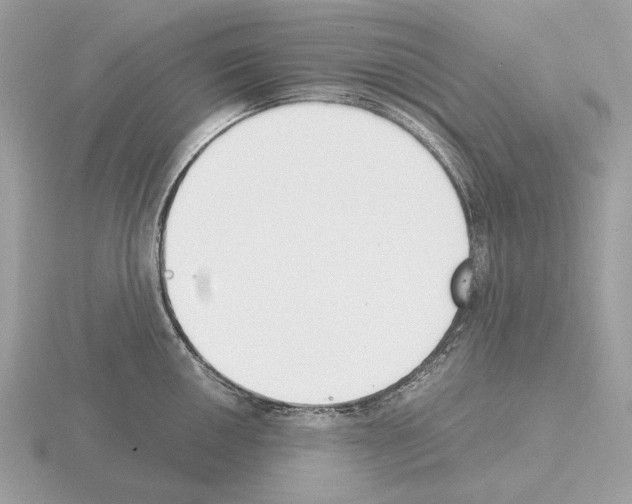 X0000115301050200912141113