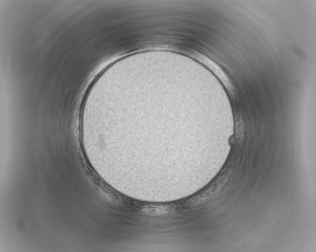 X0000115301051200912141113