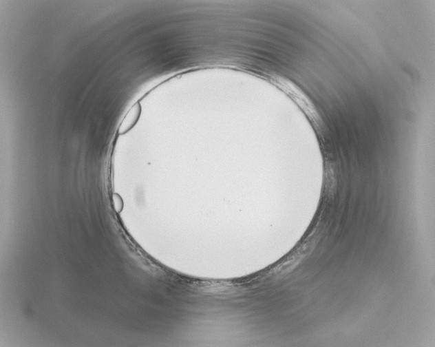 X0000115301052200912141113