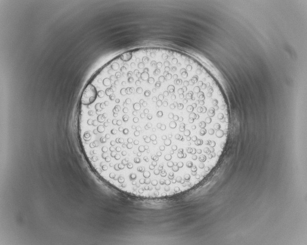 X0000115301053200912141113