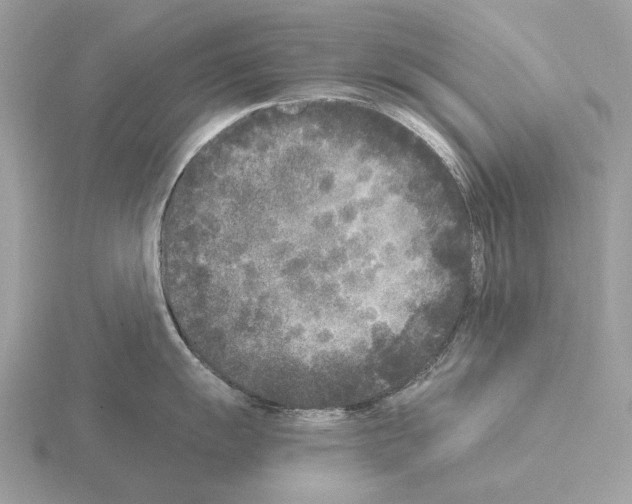 X0000115301055200912141113