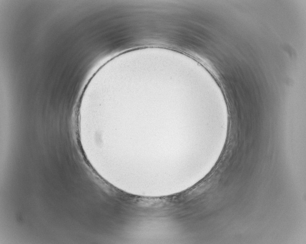 X0000115301056200912141113