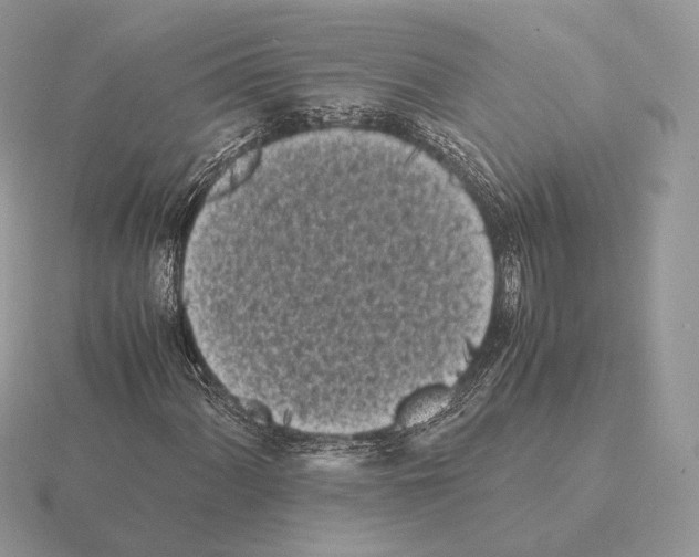 X0000115301060200912141112