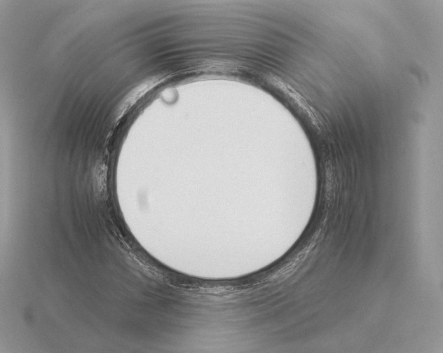 X0000115301066200912141112