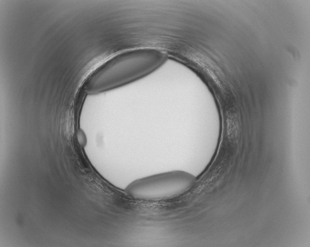 X0000115301069200912141112