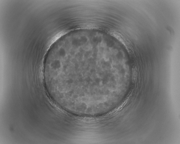 X0000115301071200912141112