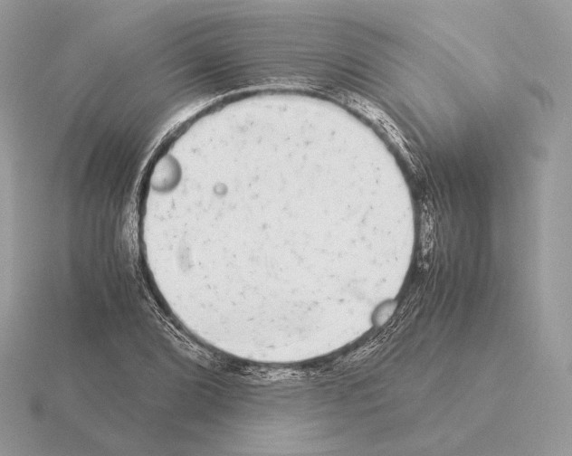 X0000115301072200912141112