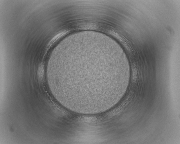 X0000115301074200912141112