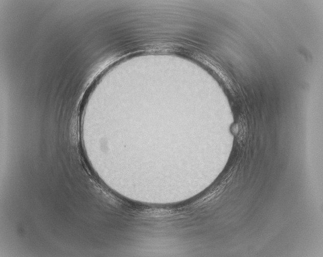 X0000115301075200912141112