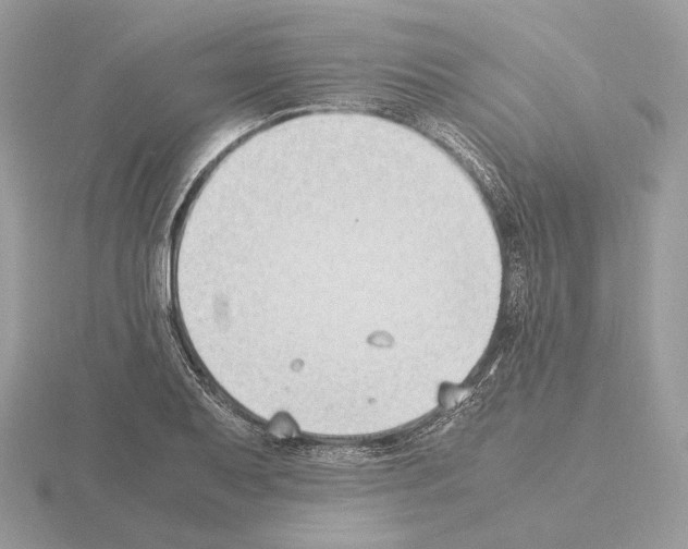 X0000115301079200912141112