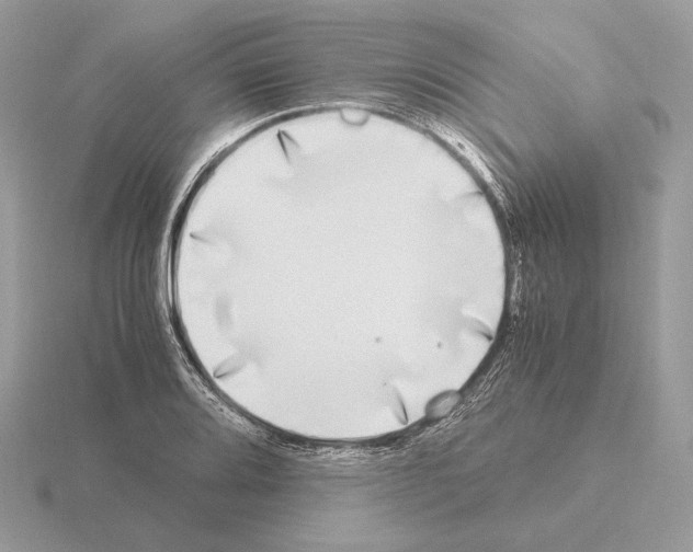 X0000115301080200912141112