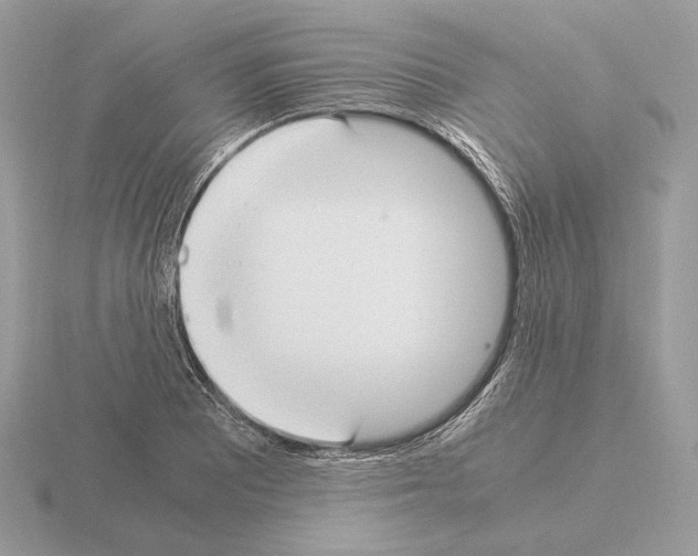 X0000115301081200912141112