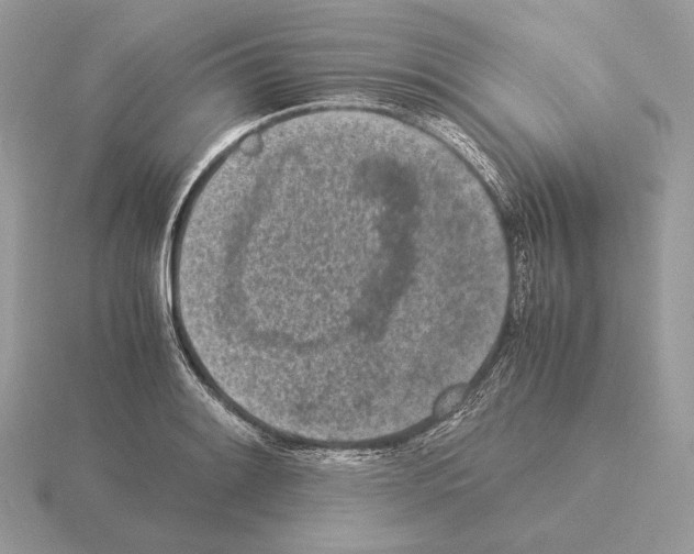 X0000115301084200912141112