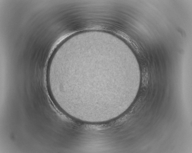 X0000115301086200912141112